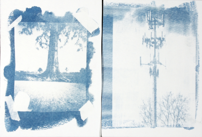 Scaled image Photography/Cyanotype/Tree and Tower.jpg 
